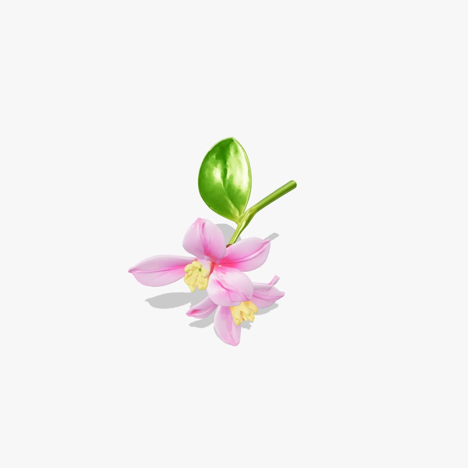 Freesia Minor Vibrant Flower Model Pack